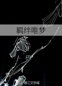 (BL/奧特曼同人)羈絆唯夢