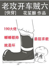老攻开车贼六[快穿]